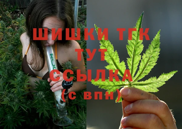 дмт Абинск