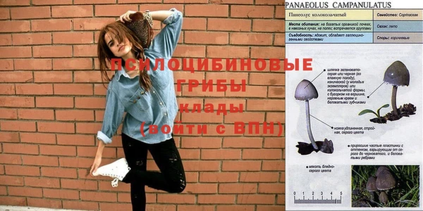 бутик Абаза