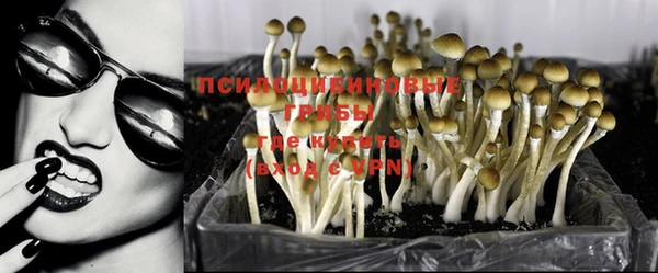 дмт Абинск